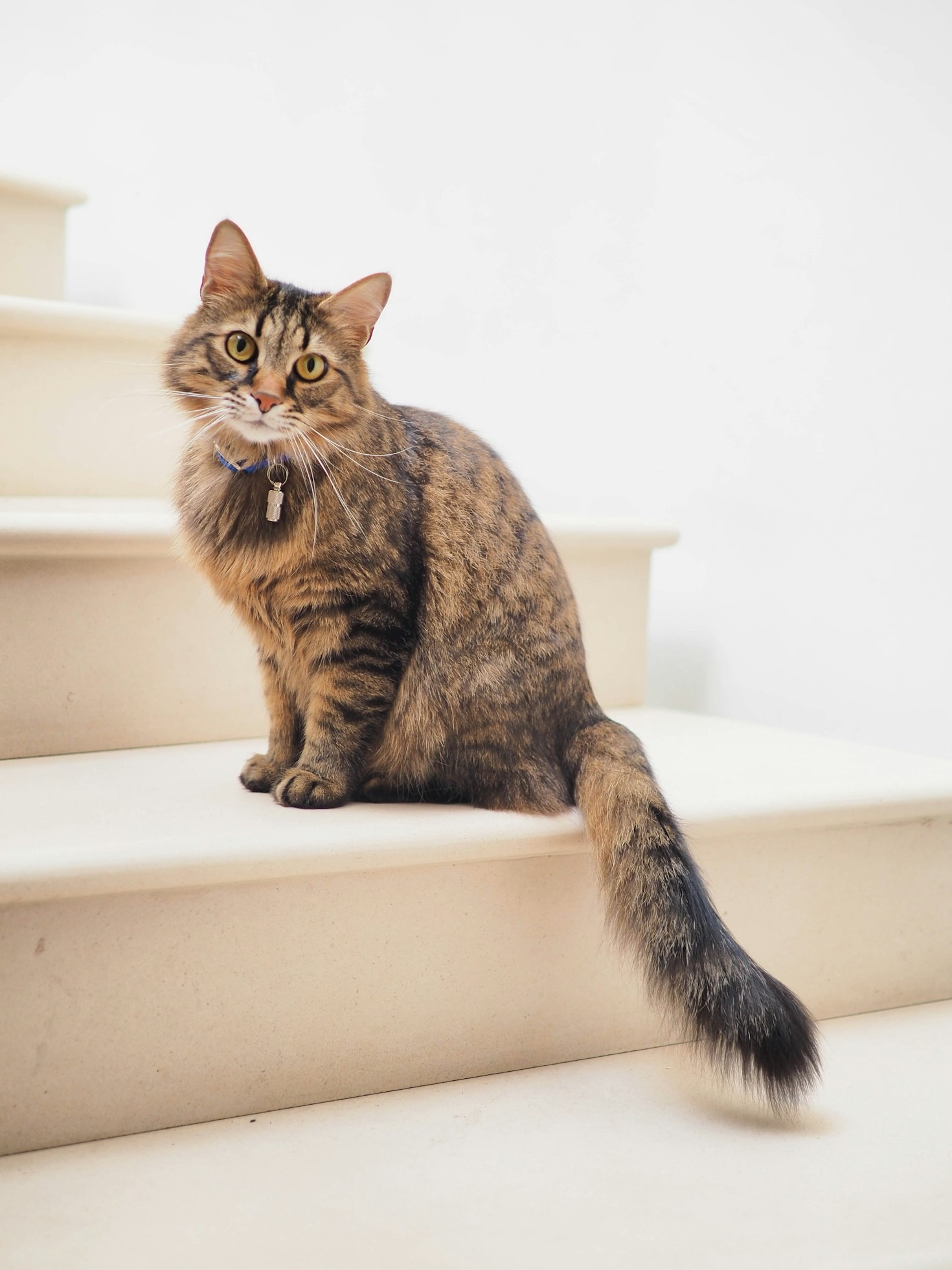 Meet The Mascot Behind Your Mortgage Success